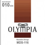 מיתרים למנדולינה