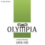 סט מיתרים ליוקלילי