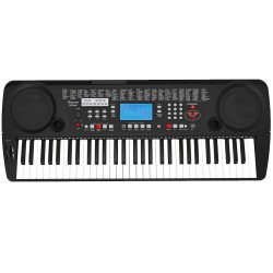 אורגן מזרחי +3 שנות אחריות