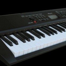 אורגן עם קלידים של פסנתר