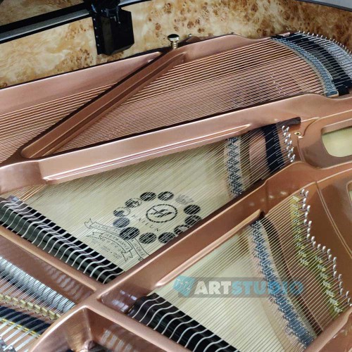 פסנתר כנף חדש 151 ס"מ