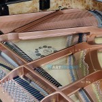 פסנתר כנף חדש 151 ס"מ