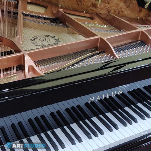 פסנתר כנף חדש 161 ס"מ