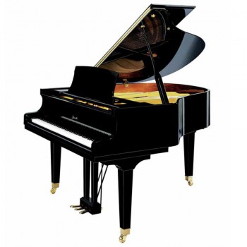 פסנתר כנף 200 ס"מ