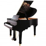 פסנתר כנף חדש 161 ס"מ