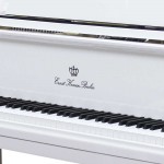 פסנתר כנף לבן