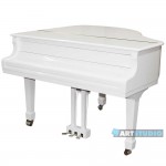 פסנתר כנף לבן