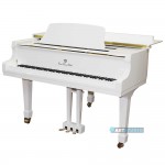 פסנתר כנף לבן