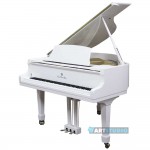 פסנתר כנף לבן