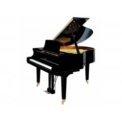 פסנתר כנף 160 ס''מ