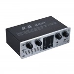 כרטיס קול 2 ערוצים