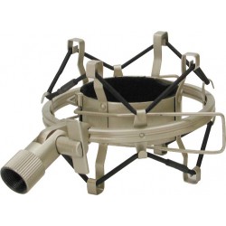 בולם זעזועים עכביש