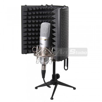 מסך אקוסטי למיקרופון הקלטה