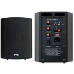 זוג רמקולים מוגברים 5.25"