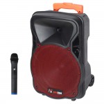 בידורית 10" / 300W