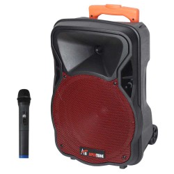 בידורית 10" / 300W