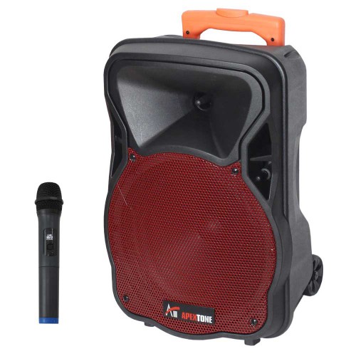 בידורית 10" / 300W