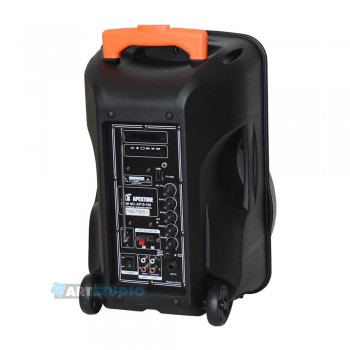 בידורית 10" / 300W