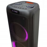 בידורית עוצמתית 650W  "2x10