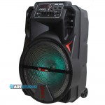 בידורית 15" / 500W