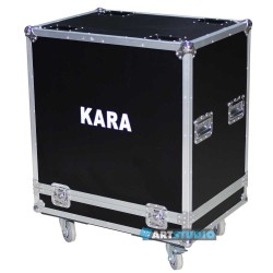 Line Array / Speakers Case