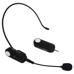 מיקרופון מדונה