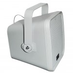 300W All-Weather Speker