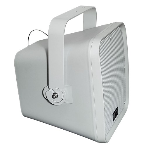 300W All-Weather Speker