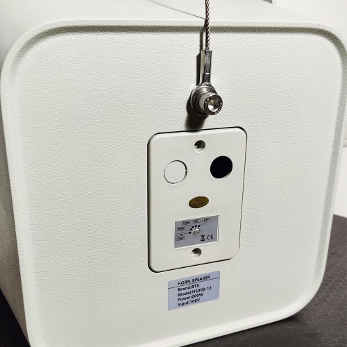 300W All-Weather Speker