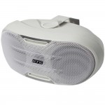 רמקול 30Watt RMS שנאי קו