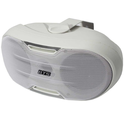 רמקול 30Watt RMS שנאי קו