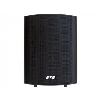 רמקול 5", שנאי קו