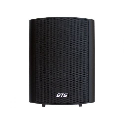 רמקול 5", שנאי קו