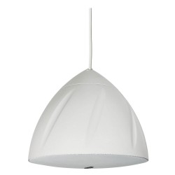 רמקול תליה 6.5" / 40W