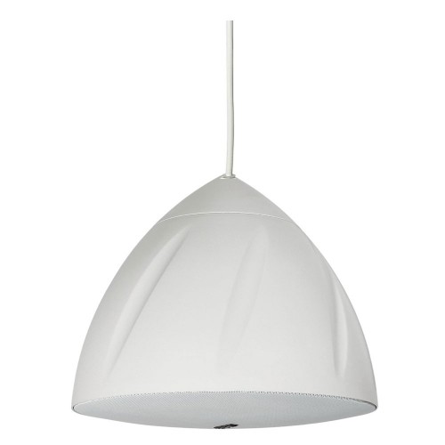 רמקול תליה 6.5" / 40W