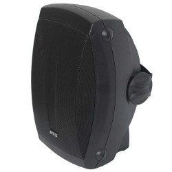 6.5" 2-Way Speaker